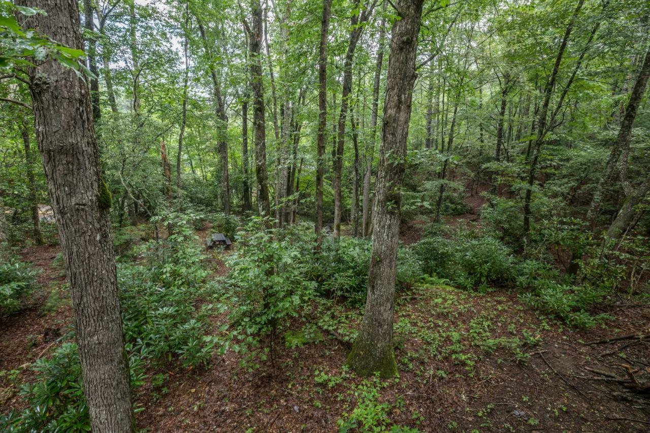 Villa Springmaid Mountain Spruce Pine Exterior foto